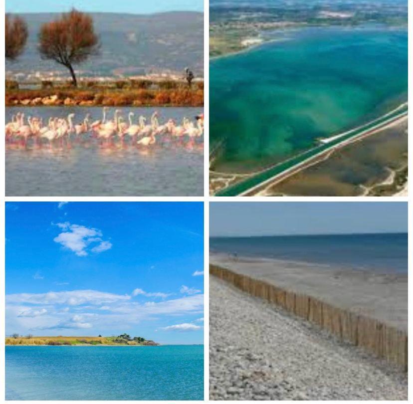 Camping L'Europe Hotel Vic la Gardiole Bagian luar foto